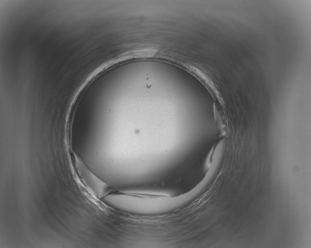 X0000081591342200702121504