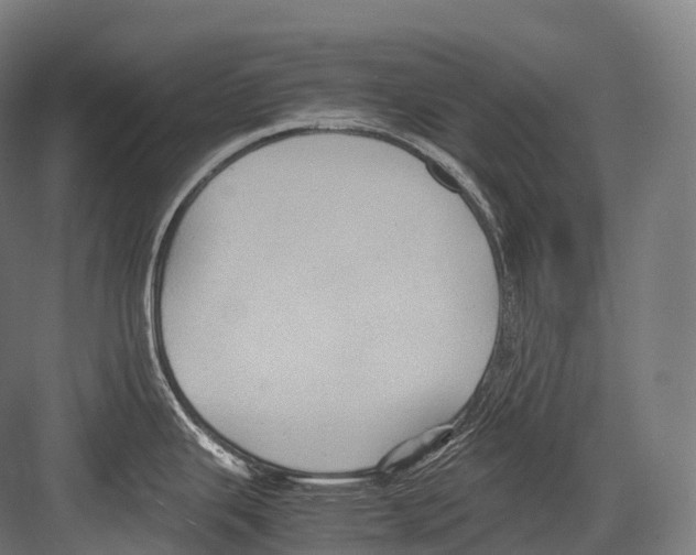 X0000081591343200702121504