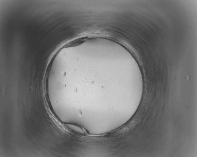 X0000081591344200702121504