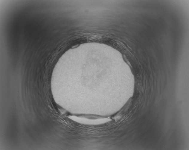 X0000081591345200702121503