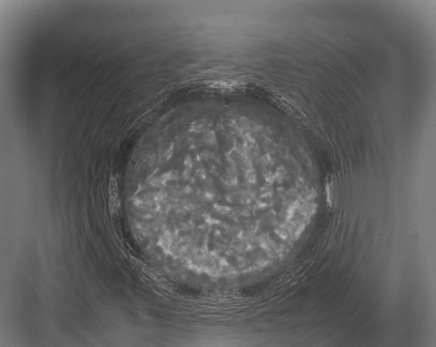 X0000081591347200702121503