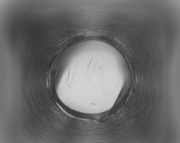 X0000081591348200702121503