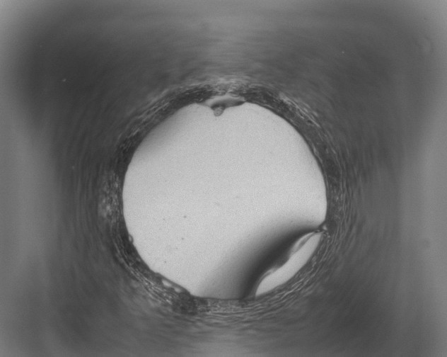 X0000081591349200702121503