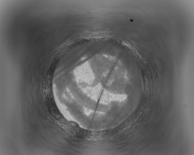 X0000081591350200702121503