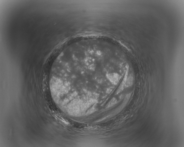 X0000081591351200702121503