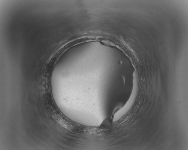 X0000081591352200702121503