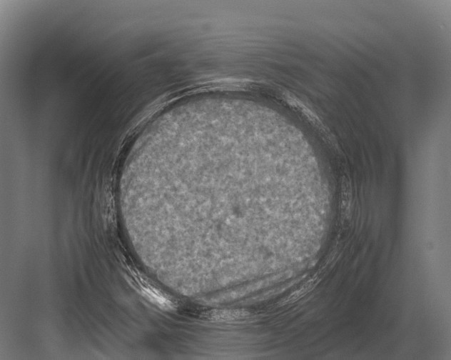 X0000081591354200702121503