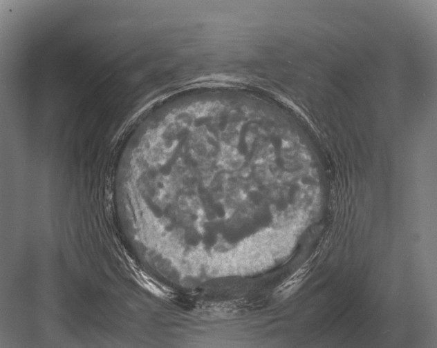 X0000081591355200702121503