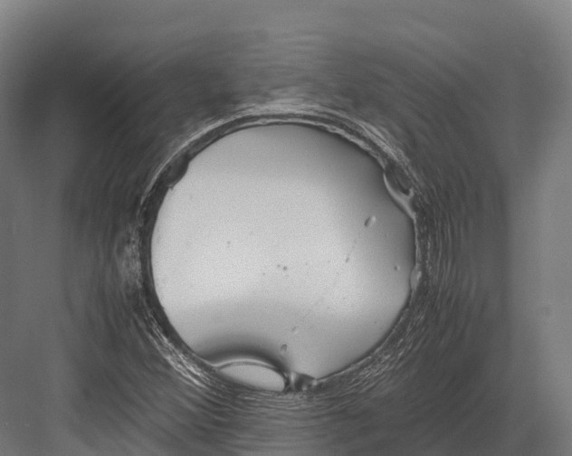 X0000081591356200702121503