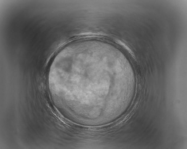 X0000081591357200702121503