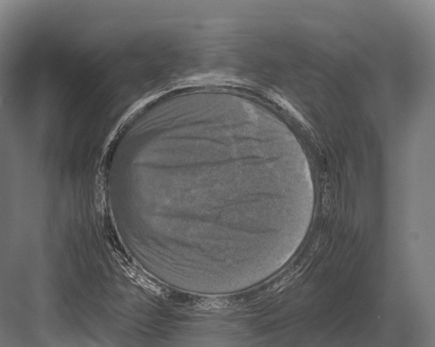 X0000081591358200702121503