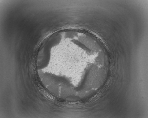 X0000081591359200702121503