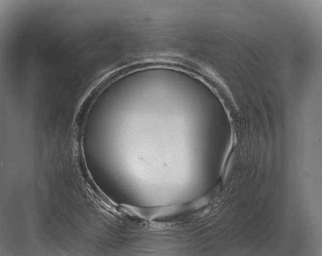 X0000081591360200702121503