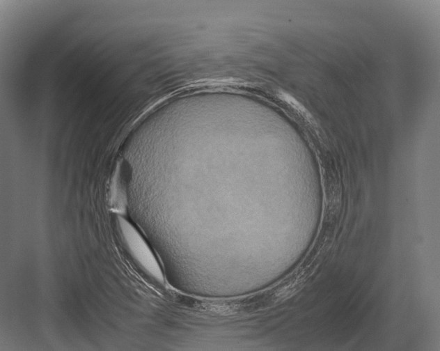 X0000081591361200702121503