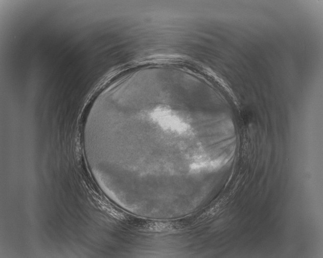 X0000081591362200702121503