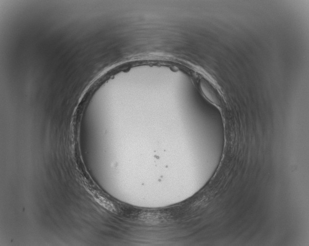 X0000081591364200702121503