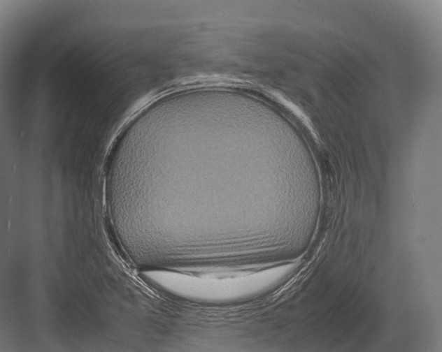 X0000081591365200702121503