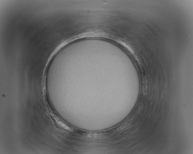 X0000081591366200702121503