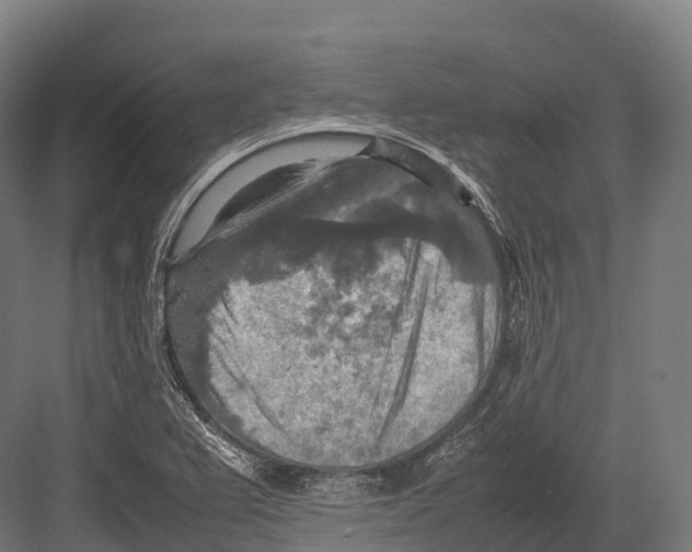 X0000081591367200702121503