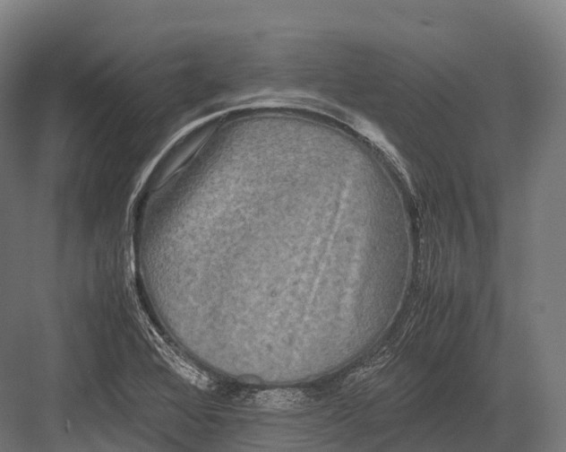 X0000081591368200702121503