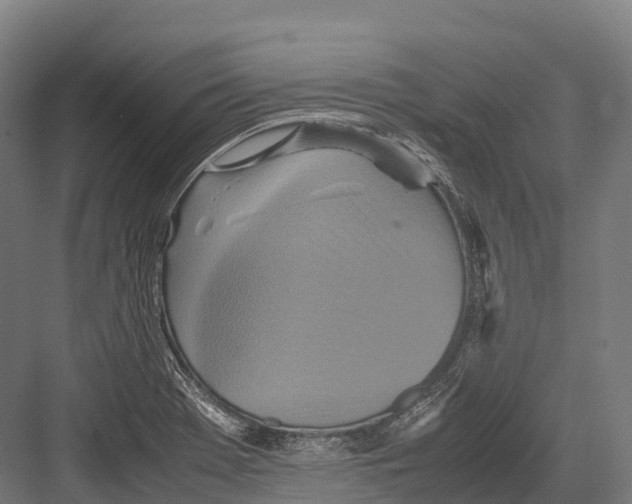 X0000081591369200702121503