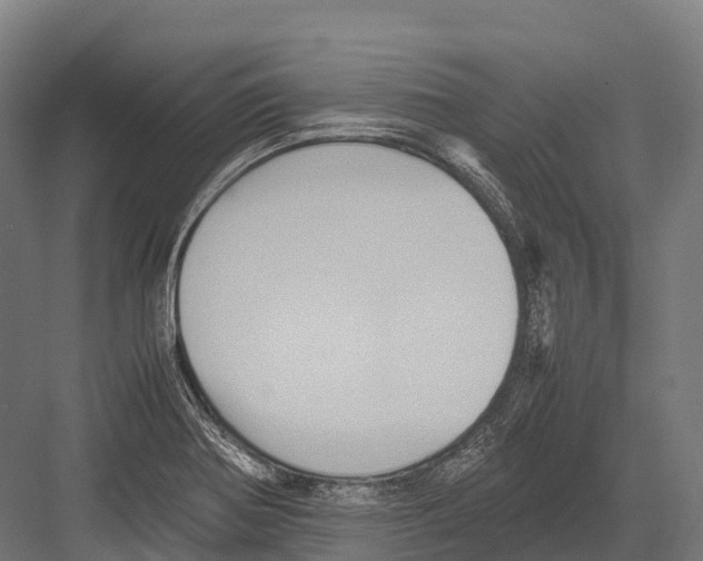 X0000081591370200702121503