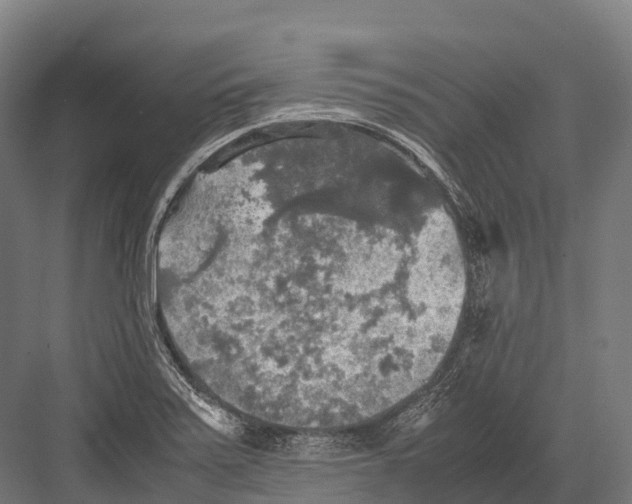 X0000081591371200702121503