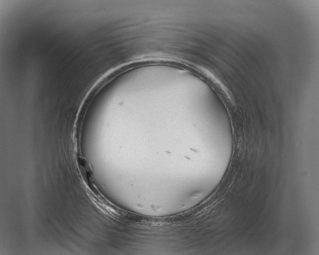 X0000081591372200702121503