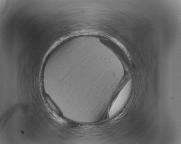 X0000081591373200702121503