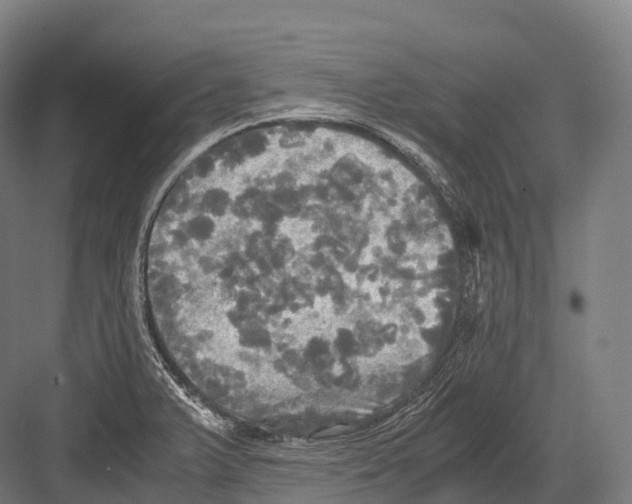 X0000081591375200702121503