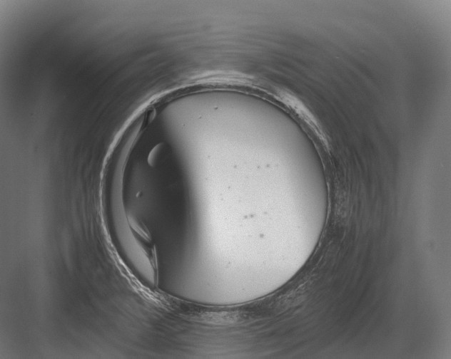 X0000081591376200702121503