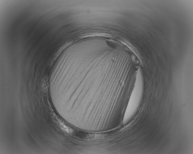 X0000081591377200702121503