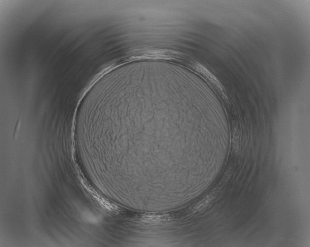 X0000081591378200702121503