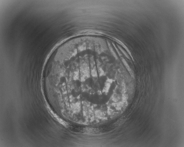 X0000081591379200702121502