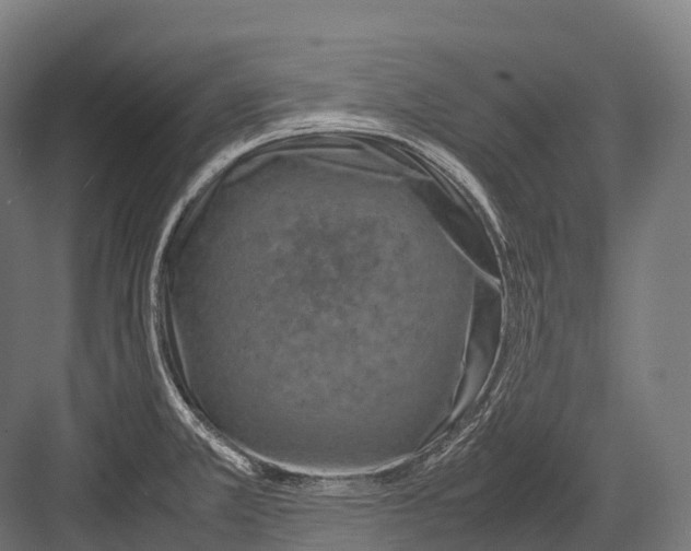 X0000081591381200702121502