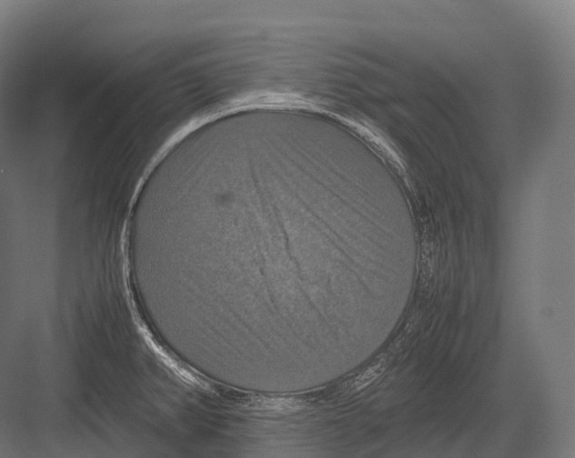 X0000081591382200702121502