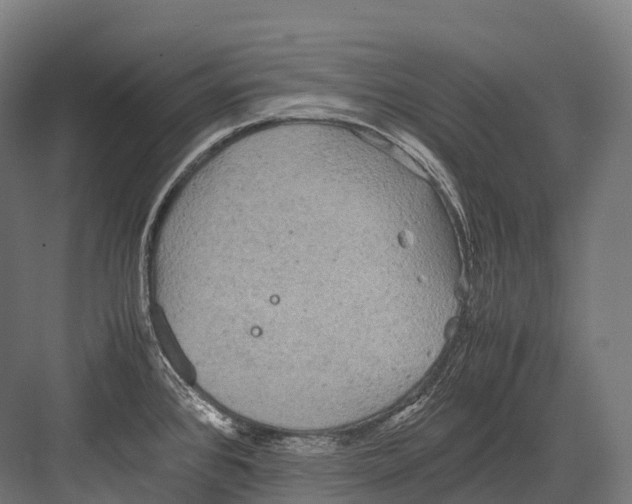 X0000081591384200702121502