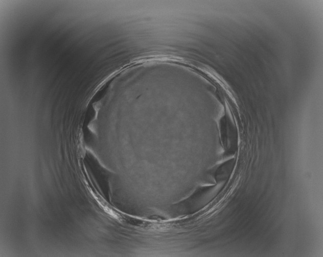 X0000081591385200702121502