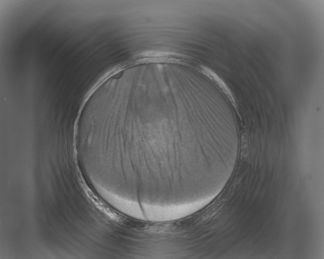 X0000081591386200702121502