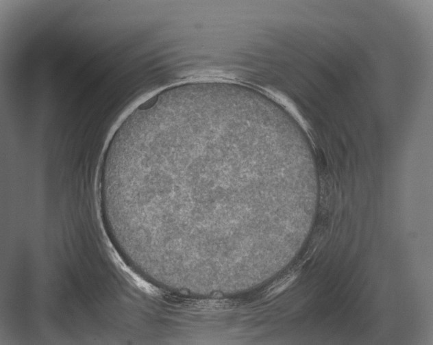 X0000081591387200702121502