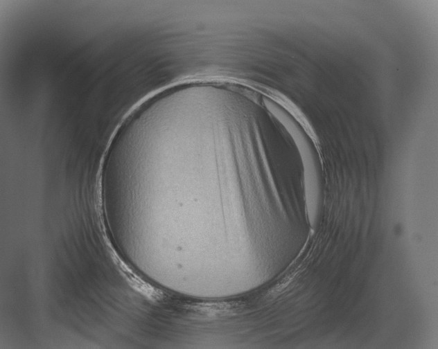 X0000081591388200702121502