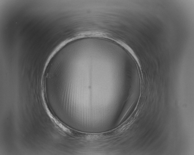 X0000081591389200702121502