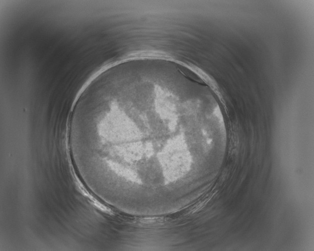 X0000081591390200702121502