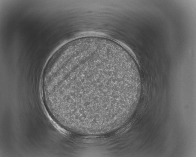 X0000081591391200702121502