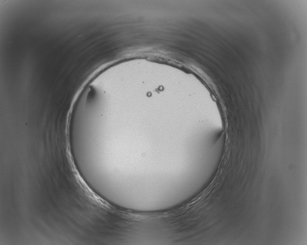 X0000081591392200702121502