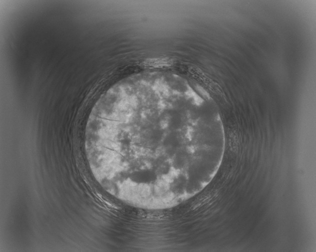 X0000081591393200702121501