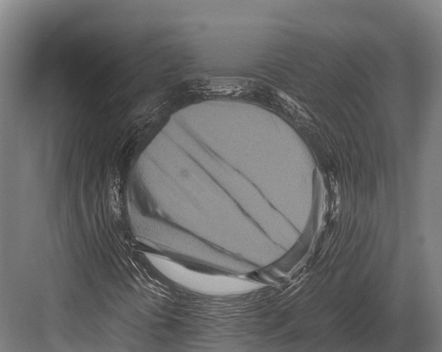 X0000081591394200702121501