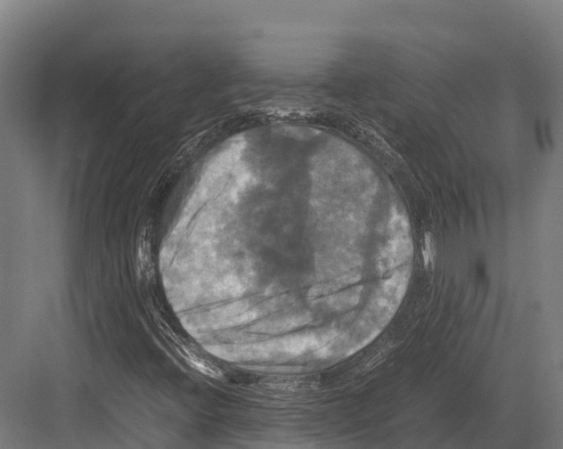 X0000081591396200702121501