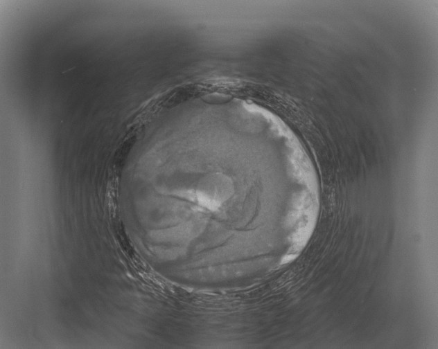 X0000081591397200702121501