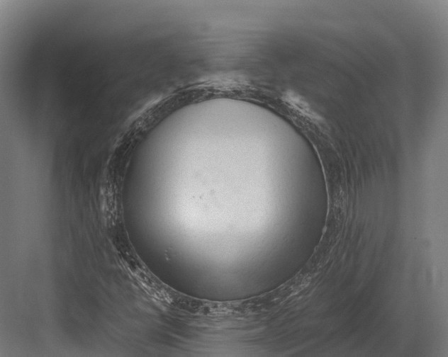 X0000081591398200702121501